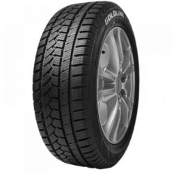 Anvelope GOLDLINE GLW 1 195/65 R15 - 91T - Anvelope Iarna.